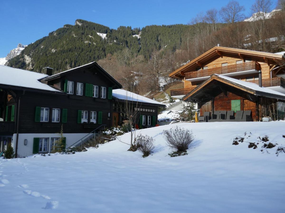 Apartment Chalet Schwendihus-10 By Interhome Grindelwald Buitenkant foto